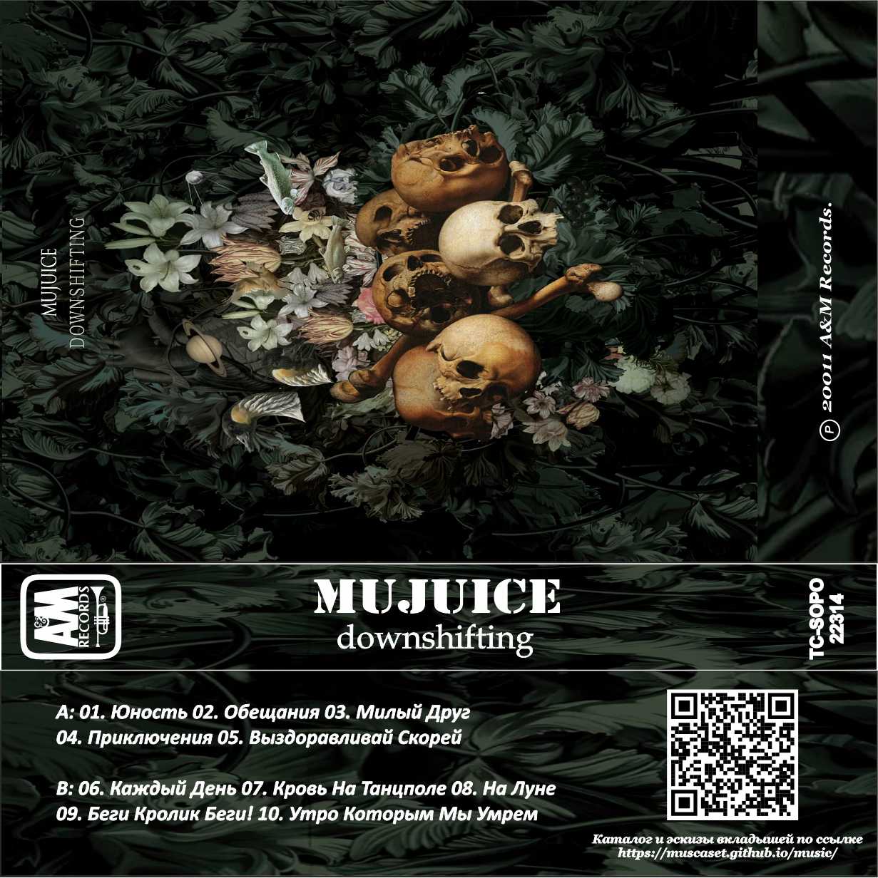 Mujuice-Downshifting