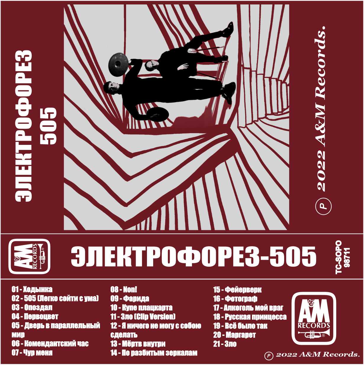Электрофорез-505